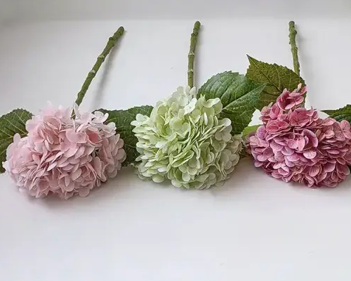 Süni hidrangea necə seçilir?