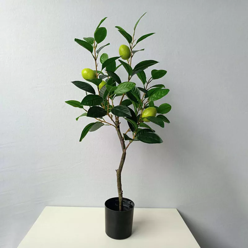 Süni limon ağacı