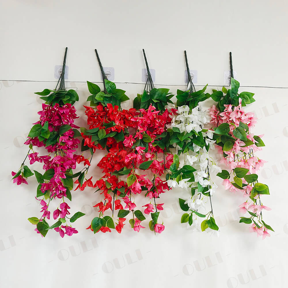 İpək bougainvilea divar asma