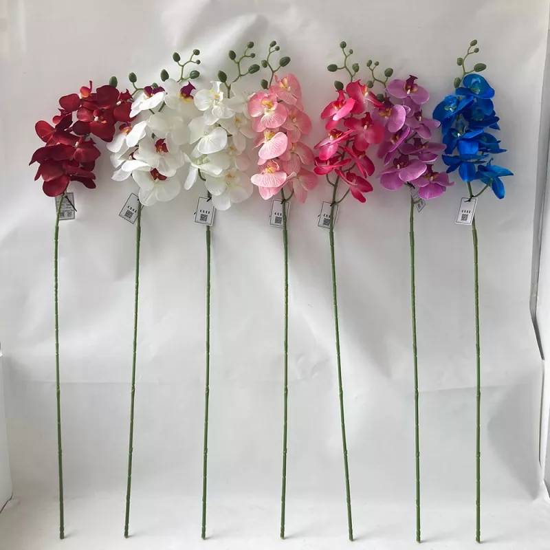 İpək çiçək phalaenopsis orkide
