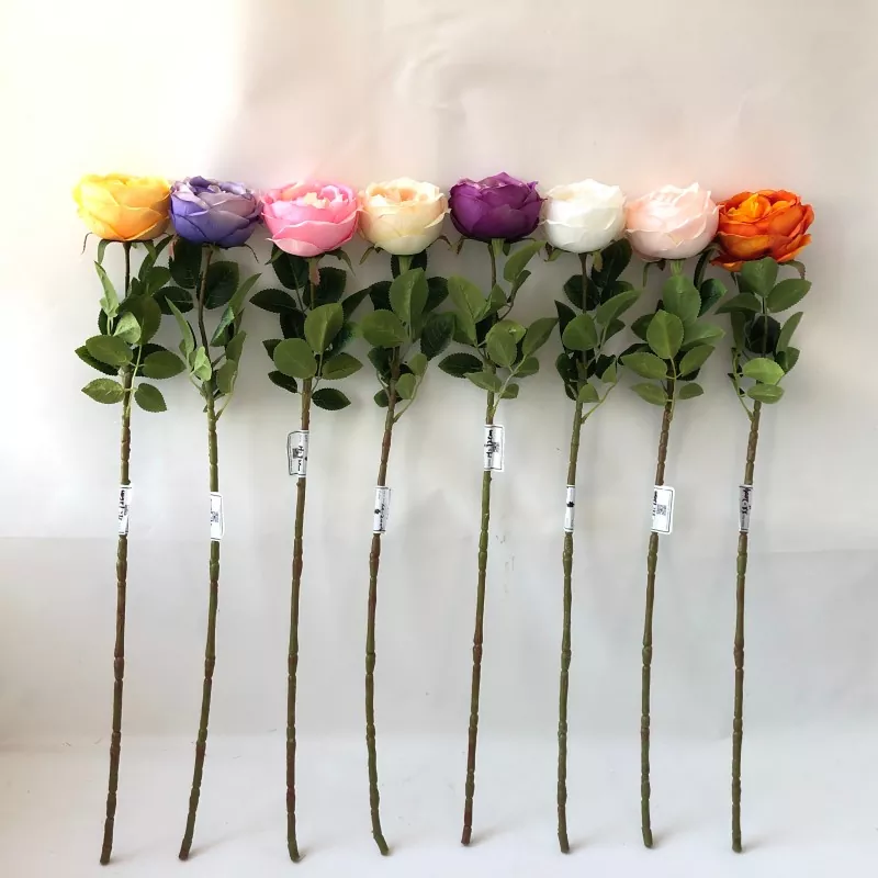 Ağ saxta peony çiçəkləri