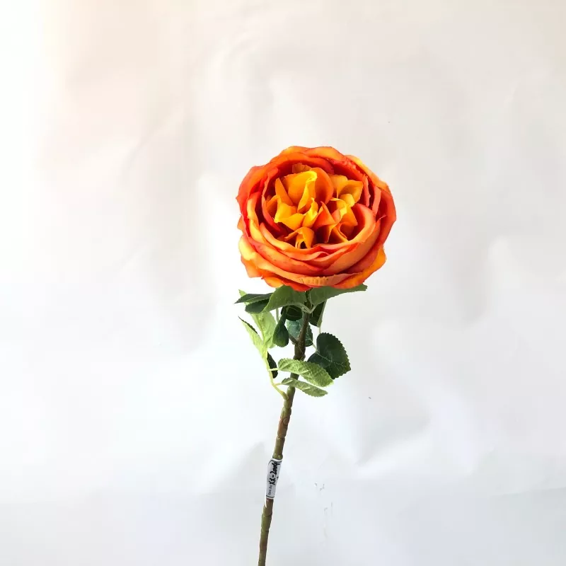 Ağ saxta peony çiçəkləri